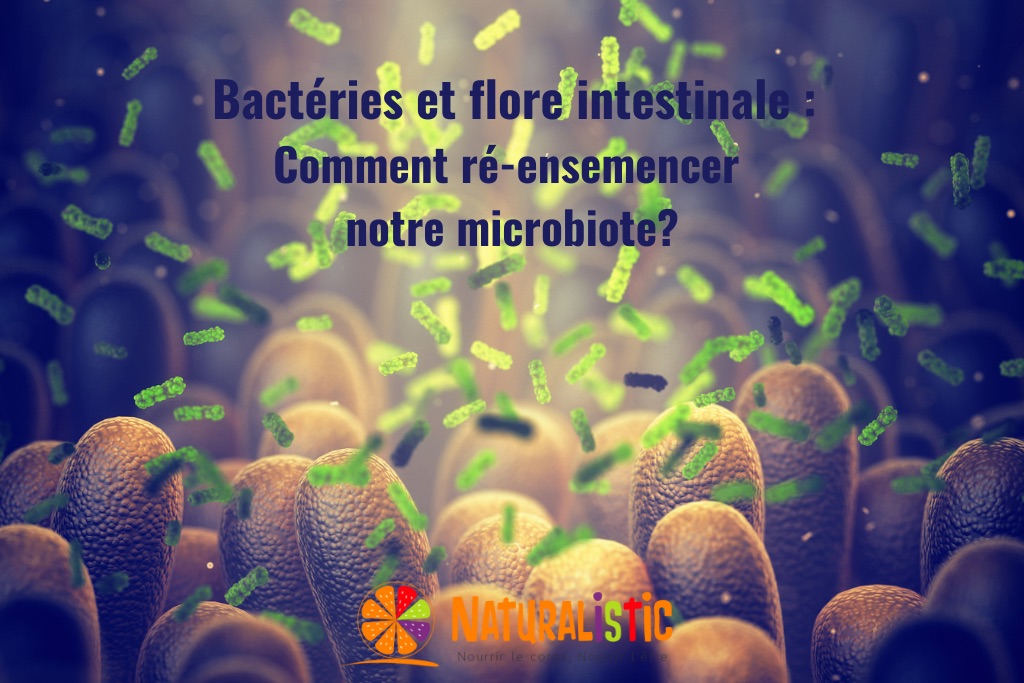 bactéries et flore intestinale : comment ré ensemencer notre microbiote?