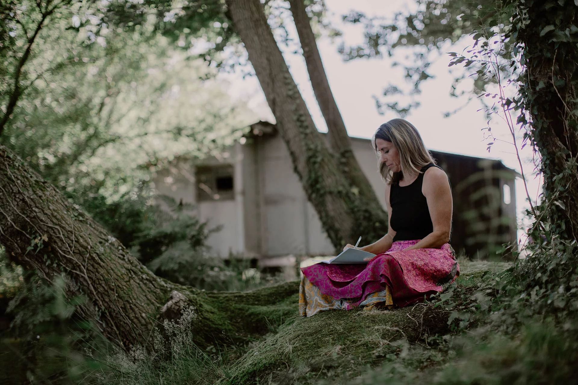carnet de voyage interieur naturalistic